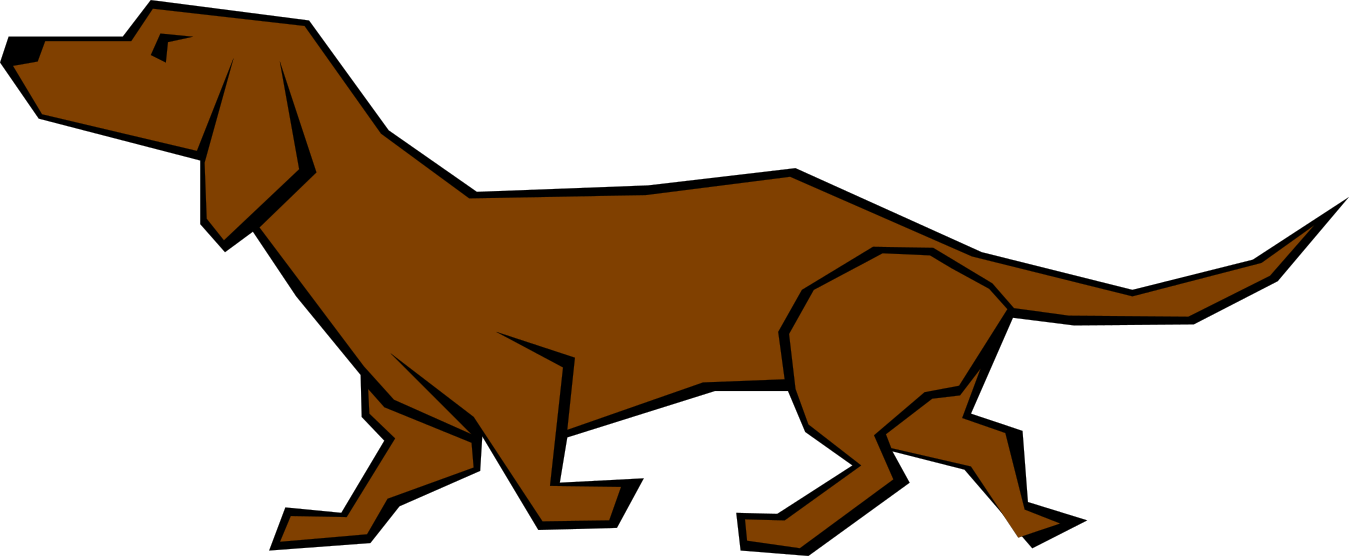 Hund